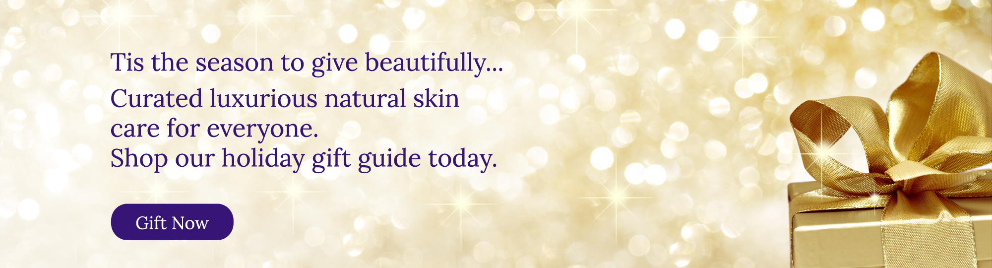 Home Banner Slider 1